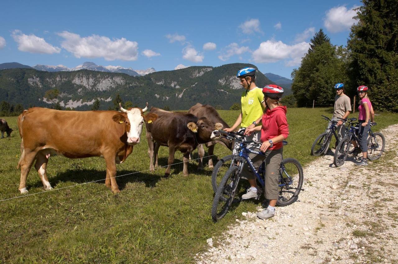 Bohinj Eco Hotel Bohinjska Bistrica Eksteriør billede