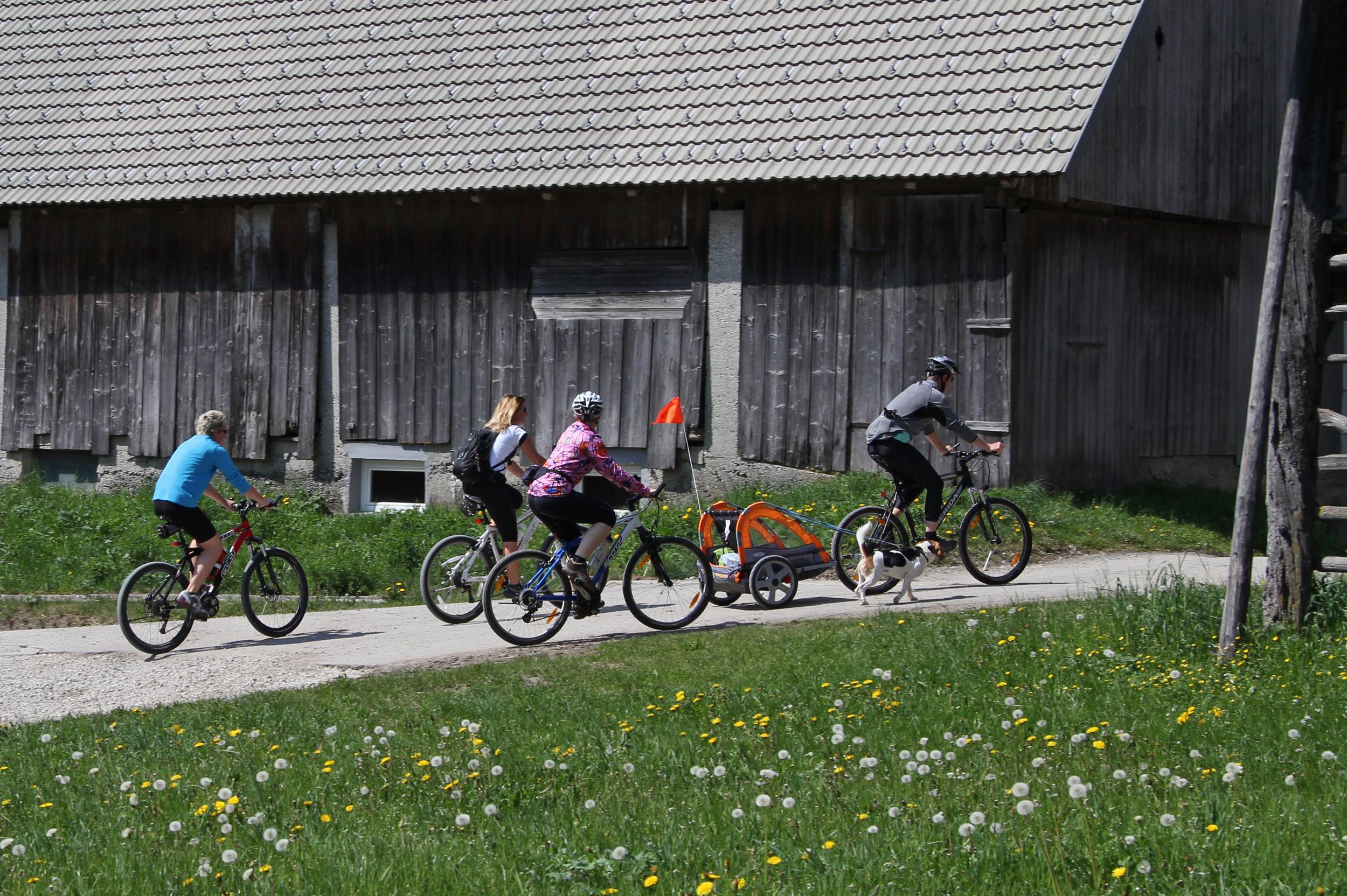 Bohinj Eco Hotel Bohinjska Bistrica Eksteriør billede