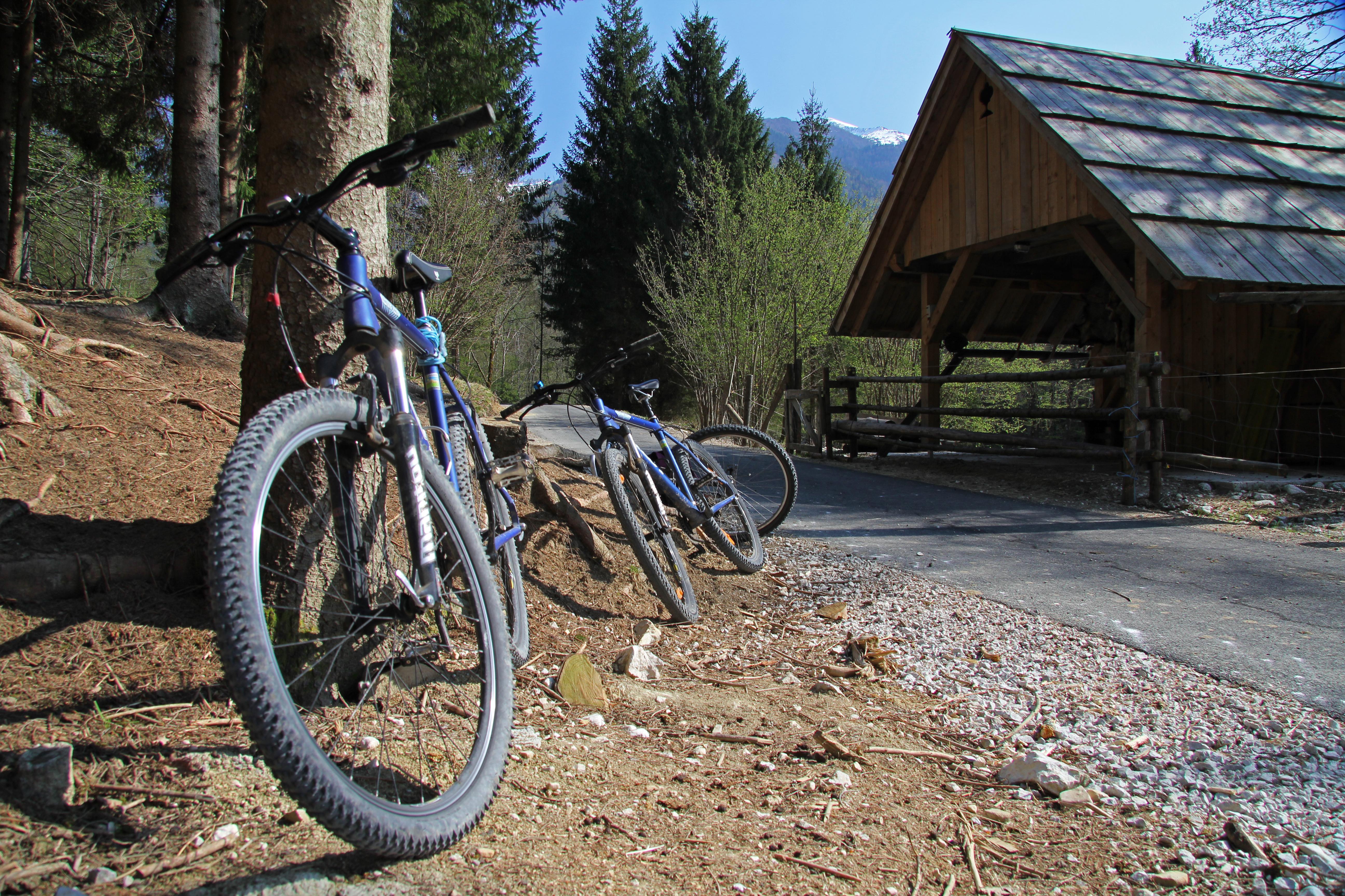 Bohinj Eco Hotel Bohinjska Bistrica Eksteriør billede